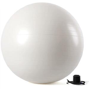 バランスボール フィットネスボール 65cm ホワイト