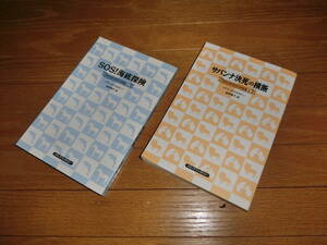 児童書AA☆マジックツリーハウス 第5巻 + 第6巻　２冊セット