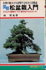 図説　松盆栽入門　林哲也　趣味の園芸ガイド　日本文芸社　昭和57年7月　UA240214M1