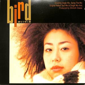 A00576492/LP/bird「満ちてゆく唇 (1999年・AIJT-5047)」