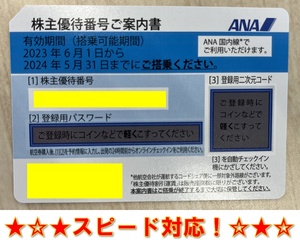 ANA株主優待券 全日空★2024年5月31日まで★番号通知★