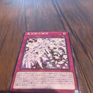 【遊戯王カード】聖天樹の開花