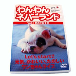 ★わんわんネバーランド Vol.1 初めての子犬 [DVD]★ 映画、ビデオ ★L302