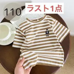 キッズ半袖110　ボーダー　くま　ブラウン　Tシャツ　オシャレ　韓国　オルチャン