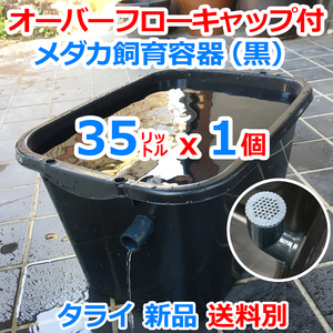 メダカ飼育容器【35㍑ 黒 1個 オーバーフローキャップ付】送料別 メダカ飼育ケース 金魚 タライ ビオトープ 水槽 睡蓮鉢【五色アクア】