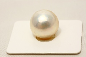 マベ真珠パールルース　15mm　ホワイトピンクカラー