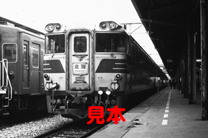 鉄道写真、35ミリネガデータ、02629800015、キハ82系、特急北海号、札幌駅、1983.07.22、（2581×1711）