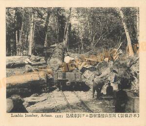 台湾 阿里山 檜集材器にて列車積込 / 絵葉書 写真 戦前 資料 B