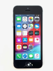 787● Apple iPhone 5s 16GB スペースグレイ ME332J/A 判定〇