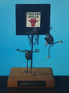 NBA シカゴ・ブルズ Chicago Bulls