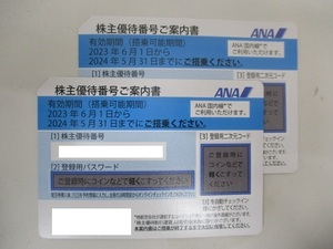 2501 ANA 全日空 株主優待券 搭乗可能期間 2024年5月31日まで 2枚