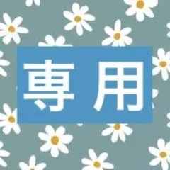 眼球骨折様専用  フィギュア