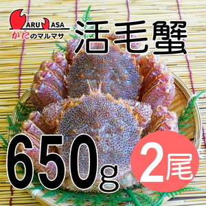 【かにのマルマサ】北海道産 特大 活毛ガニ650g 2尾セット