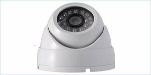 [DSE] (展示未使用) NSK 非発光全天候小型ドームカメラ NS-F202C 家内eye ハイビジョン対応 暗視 防犯カメラ 監視カメラ