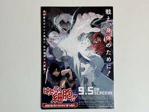 アニメ映画チラシ「はたらく細胞！！　最強の敵、再び。体の中は“腸”大騒ぎ」 1種 