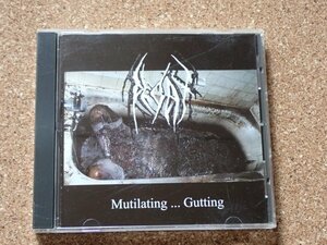 DECAY / Mutilating ... Gutting CD DISGORGE REGURGITATE LDOH DECOMPOSING SERENITY CARCASS CUM GOREGRIND DEATH METAL