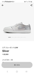 AIR JORDAN1 LOW OG SILVERエア ジョーダン1 ロー オージー シルバー 28 cm