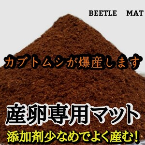 カブトムシの産卵専用　特選ビートルマット　オガを植菌で朽ちらせ室内で完熟発酵！　添加剤少なめで産卵意欲が高まり多産へと導きます