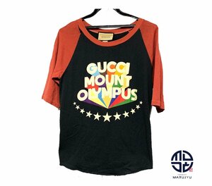 GUCCI グッチ MOUNT OLYMPUS マウントオリンパス ダメージ Tシャツ 半袖 アパレル Sサイズ 661863