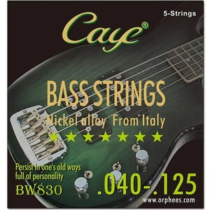 Caye 5弦 ベース弦 BW830 040-125 1セット