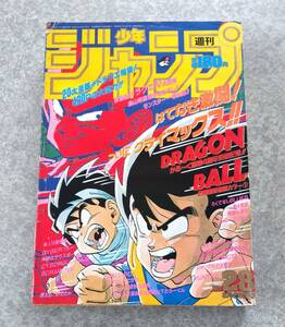 週刊少年ジャンプ 1989年28号 ドラゴンボール表紙&巻頭カラー ベジータ戦 鳥山明 聖闘士星矢 シティーハンター ジョジョの奇妙な冒険