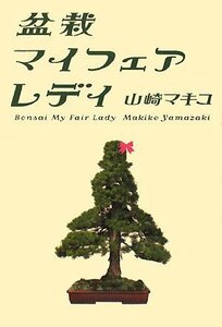 【中古】 盆栽マイフェアレディ