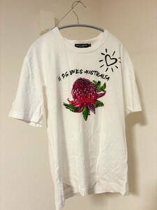 ドルチェ&ガッバーナ Dolce & Gabbana ドルガバ Tシャツ 半袖 