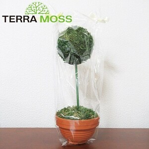 モスボール 大 プランターボール 1個 TERRA MOSS テラモス 空気清浄 吸音 調湿 耐火 消臭 インテリア 苔玉 送料無料