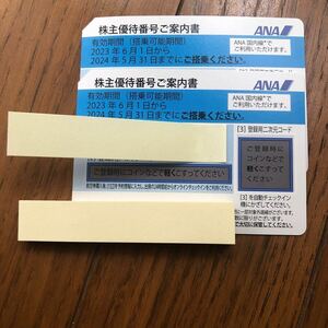 ANA 全日空 株主優待2枚&グループ優待券付き冊子セット有効期間2024/05/31 定形普通郵便は送料無料　