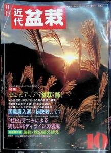 月刊　近代盆栽　秋の作業・全ガイド　1988　10　⑬　YB230505K2