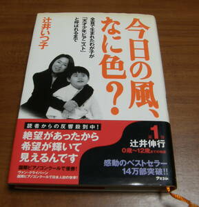 ★45★今日の風、なに色?　全盲で生まれたわが子が「天才少年ピアニスト」と呼ばれるまで　辻井いつ子　古本★