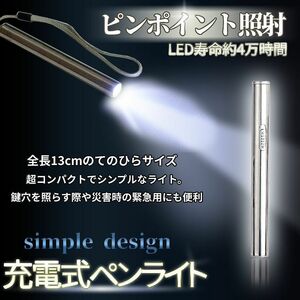 ペンライト コンパクト 作業灯 LED ペン ライト 小型 懐中電灯 USB 充電式 災害 防災 緊急 ツール PINPENRA