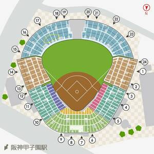 ５月6日（月・祝） １８時試合開始 阪神タイガースvs広島カープ 阪神甲子園球場レフトペア席 Family with Tigers Day