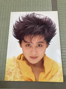 【1000円スタート チケット半券付き】渡辺美里コンサートパンフレット super Flower bed ball’89 秋 東京ドーム1989年 MISATO WATANABE