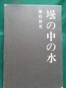 壜の中の水　＜短篇小説集＞　 藤枝静男　 昭和40年　 講談社　初版