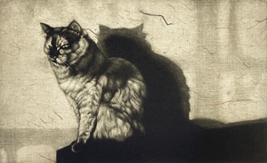 生田宏司「Shadow・III」銅版画　メゾチント　額装　猫　ねこ　影