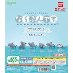 ならぶんです。 さめさん あなざーからー 全6種 ガチャ サメさん