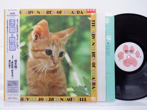 【見本盤】坂本龍一「子猫物語」LP（12インチ）/Midi Inc.(MIL-1017)/テレビ映画舞台音楽
