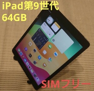 国内版SIMフリーiPad第9世代(A2604)本体32GBグレイ完動品動作確認済み1円スタート送料無料