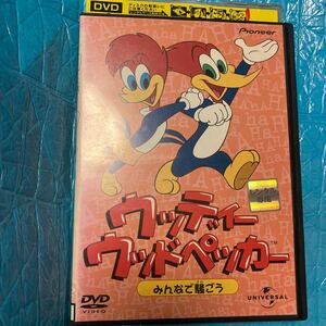 ウッディー ウッドペッカー みんなで騒ごう DVD レンタル落ち