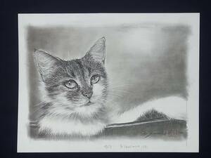 真作 真筆　白井真澄 鉛筆画 炭材画 絵画 動物画 猫 サイン入り　約35×26.5