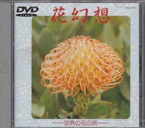 ★DVD 花幻想 世界の花の旅 南洋諸島.ヨーロッパ.アフリカ.アメリカ.アジア.オセアニア