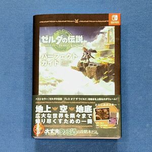 Nintendo SWITCH 任天堂スイッチ★ゼルダの伝説 TEARS OF THE KINGDOM ティアーズ オブ ザ キングダム★美品！帯付き