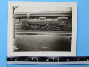 (J53)890 写真 古写真 電車 鉄道 鉄道写真 蒸気機関車 C557 SL