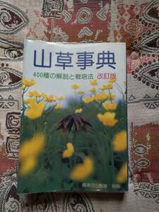 山草辞典 改訂版 趣味の山野草 別冊 (縦 約18cm 横 約13cm）