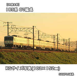 ◎KG写真【JR東日本】185系電車 C7編成 ■ムーンライトながら □撮影:東海道本線 2018/8/17［KG0788］