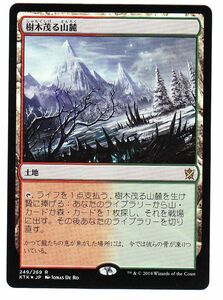 ●MTG●Foil● KTK 樹木茂る山麓(日本語)