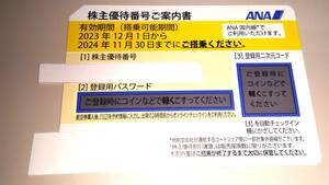 ANA 株主優待 1枚　24年11月末まで有効です。