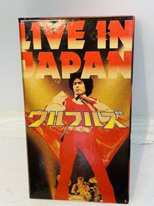 【希少 ＶＨＳ】ウルフルズ「LIVE IN JAPAN 」初ライブビデオ作品 ド派手ライヴ・ビデオ！！ 入手困難 廃盤 レア 美品