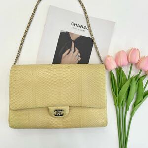 CHANEL シャネル ヘビ皮